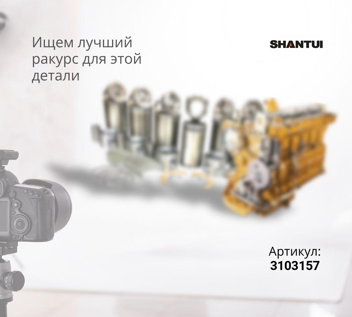 Кольца поршневые (комплект на двс 24шт ) NT855 Shantui
